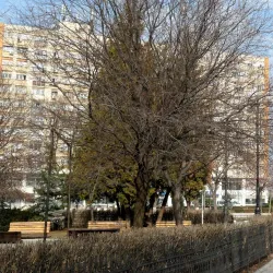 Nearby Historical Sites in Giurgiu County - Bolintin-Vale