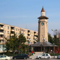 Nearby Historical Sites in Giurgiu County - Bolintin-Vale