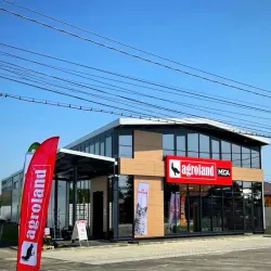 Surrounding Countryside - Bolintin-Vale