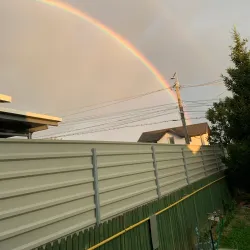 Surrounding Countryside - Bolintin-Vale