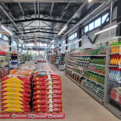 Surrounding Countryside - Bolintin-Vale