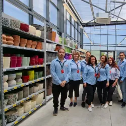 Surrounding Countryside - Bolintin-Vale