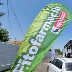 Surrounding Countryside - Bolintin-Vale