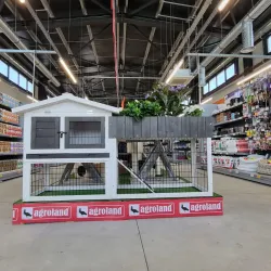 Surrounding Countryside - Bolintin-Vale