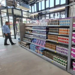 Surrounding Countryside - Bolintin-Vale