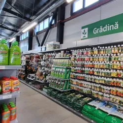 Surrounding Countryside - Bolintin-Vale