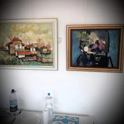 Botoșani Art Museum - Botosani