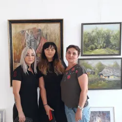 Botoșani Art Museum - Botosani