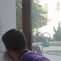 Botoșani Art Museum - Botosani