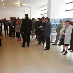 Botoșani Art Museum - Botosani