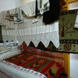 Botoșani County Museum - Botosani