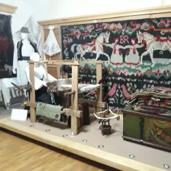 Botoșani County Museum - Botosani