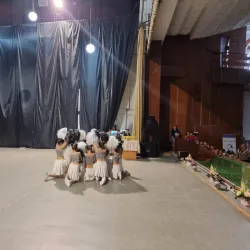 Bragadiru Cultural Center - Bragadiru