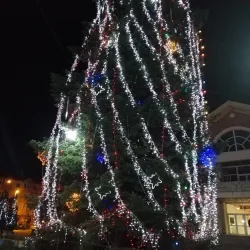 Bragadiru Cultural Center - Bragadiru