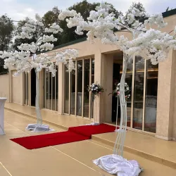 Lake Bragadiru - Bragadiru