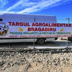 Local Markets and Traditional Cuisine - Bragadiru