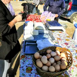 Local Markets and Traditional Cuisine - Bragadiru
