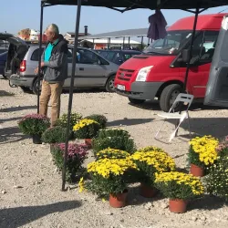 Local Markets and Traditional Cuisine - Bragadiru