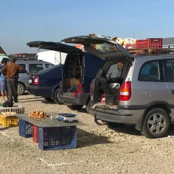 Local Markets and Traditional Cuisine - Bragadiru