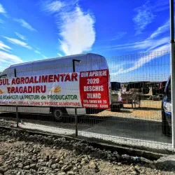 Local Markets and Traditional Cuisine - Bragadiru