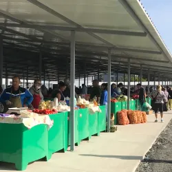 Local Markets and Traditional Cuisine - Bragadiru