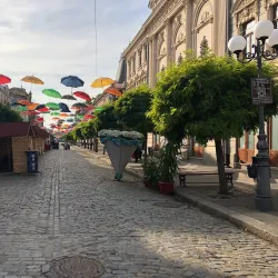 Braila Museum - Braila