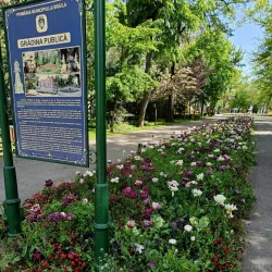 Braila Public Garden - Braila