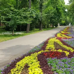 Braila Public Garden - Braila
