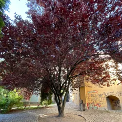 Catherine's Gate (Poarta Ecaterinei) - Brasov