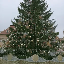 Council Square (Piața Sfatului) - Brasov