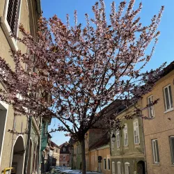 Rope Street (Strada Sforii) - Brasov