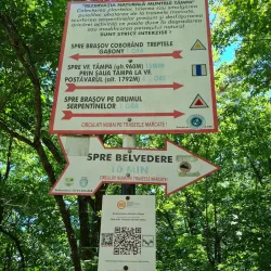 Tampa Mountain - Brasov