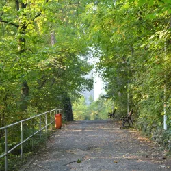 The Black Tower (Turnul Negru) - Brasov
