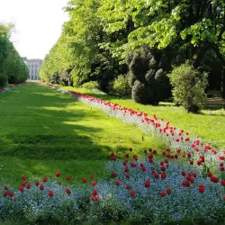 Cismigiu Gardens - Bucharest