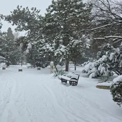 Cismigiu Gardens - Bucharest