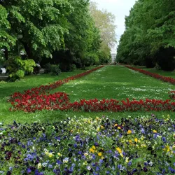 Cismigiu Gardens - Bucharest