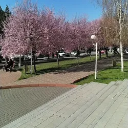 Calafat Cultural Center - Calafat