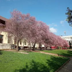 Calafat Cultural Center - Calafat
