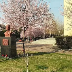 Calafat Cultural Center - Calafat