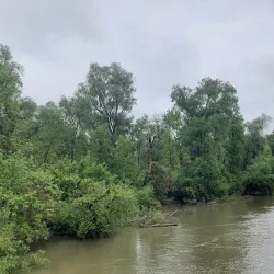 Danube River Cruises - Calafat