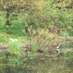 Danube River Cruises - Calafat