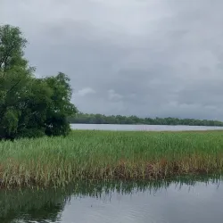 Danube River Cruises - Calafat