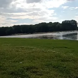 Natural Reserve Ostrovul Mare - Calafat