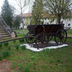 Romanian Orthodox Cathedral of Calafat - Calafat