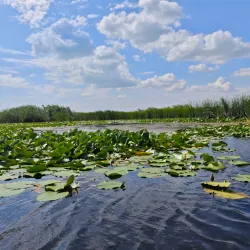 Danube Delta Excursions - Calarasi