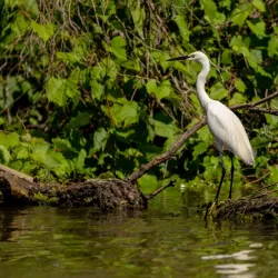 Danube Delta Excursions - Calarasi