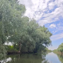 Danube Delta Excursions - Calarasi