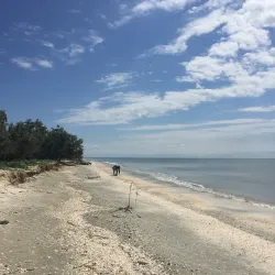 Danube Delta Excursions - Calarasi