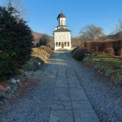 Biserica Sfântul Nicolae (Saint Nicholas Church) - Campina