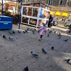 Campina Central Market - Campina